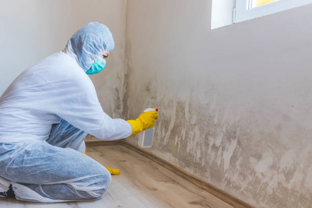 Hvac And Air Duct Mold Remediation inspection of HVAC system in Grawn